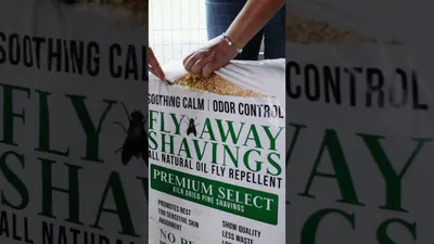 Fly Away Shavings Short