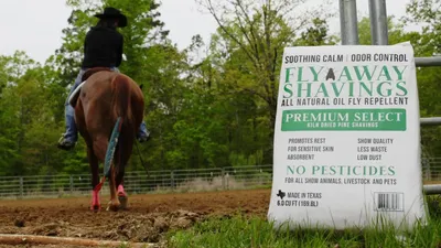 Customer Success Stories